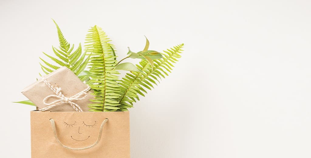 Biodegradable Jute Bags Over Plastic